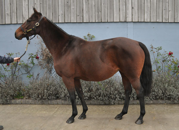 lot 1726